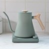 Fellow Stagg EKG Smoke Green Electric Kettle - Sleek Design