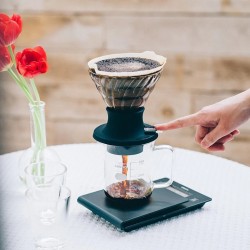 Hario Immersion Coffee Dripper Switch