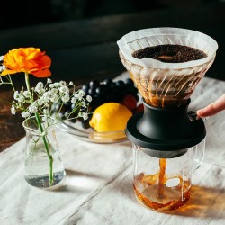 Hario Immersion Coffee Dripper Switch